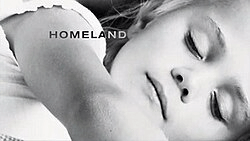 Zineb Triki : Actrice talentueuse d'origine marocaine 4 Homeland (TV series)